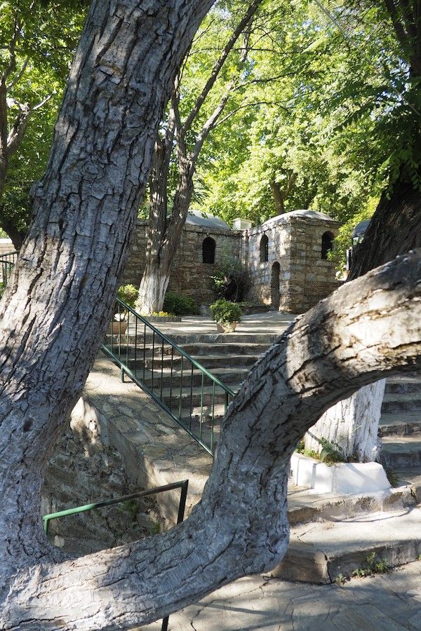 Árboles junto a la casa de la Virgen en Éfeso, foto de Fernando Díaz Villanueva